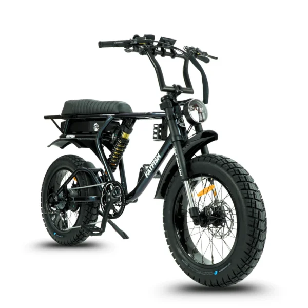 fatfish e bikes: fatfish fat tyre e bikes