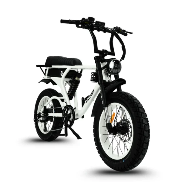 fatfish e bikes: fatfish fat tyre e bikes