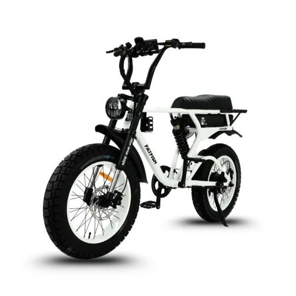 fatfish e bikes: fatfish fat tyre e bikes