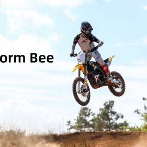 storm bee x – full size electric dirt bik