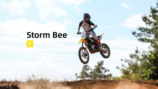 storm bee x – full size electric dirt bik