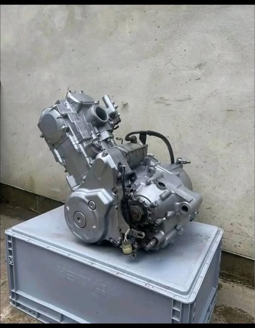 Yamaha Raptor 700R SE Engine